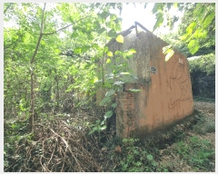  2025Ÿ564    ̸ 330-14      ()