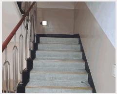  2025Ÿ570   ȣ 423 ȣƮ 203 10 1007ȣ   Ʈ