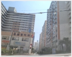  2025Ÿ570   ȣ 423 ȣƮ 203 10 1007ȣ   Ʈ