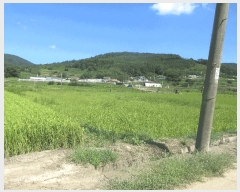  2025Ÿ��576 ���� ���ﱺ ��ȭ�� ��ȣ�� 390-1      ����(��)���