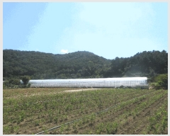  2025Ÿ��576 ���� ���ﱺ ��ȭ�� ��ȣ�� 390-1      ����(��)���