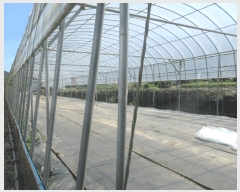  2025Ÿ��576 ���� ���ﱺ ��ȭ�� ��ȣ�� 390-1      ����(��)���