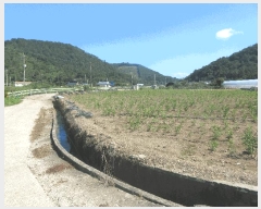  2025Ÿ��576 ���� ���ﱺ ��ȭ�� ��ȣ�� 390-1      ����(��)���