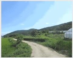  2025Ÿ��576 ���� ���ﱺ ��ȭ�� ��ȣ�� 390-1      ����(��)���