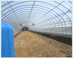  2025Ÿ��576 ���� ���ﱺ ��ȭ�� ��ȣ�� 390-1      ����(��)���