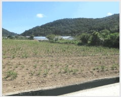  2025Ÿ��576 ���� ���ﱺ ��ȭ�� ��ȣ�� 390-1      ����(��)���