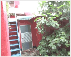  2025Ÿ��594 ���� ������ ��ȭ�� 1283       ���ڽü�,����,ȣ��,�������