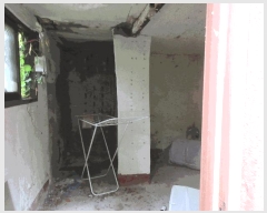  2025Ÿ��594 ���� ������ ��ȭ�� 1283       ���ڽü�,����,ȣ��,�������