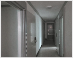  2025Ÿ��594 ���� ������ ��ȭ�� 1283       ���ڽü�,����,ȣ��,�������