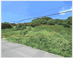  2025Ÿ��606  �����