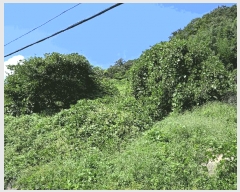  2025Ÿ��606  �����