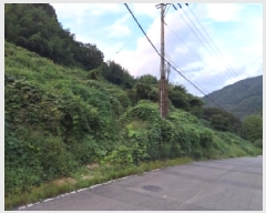  2025Ÿ��606  �����