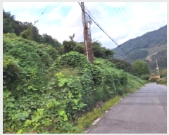  2025Ÿ��606  �����