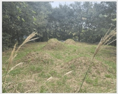  2025Ÿ��653  �ټ���(����)���