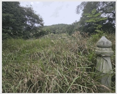  2025Ÿ��653  �ټ���(����)���