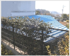  2025Ÿ��666 ���� ������ �Ҷ�� �׸��� 983-7      ���ð��