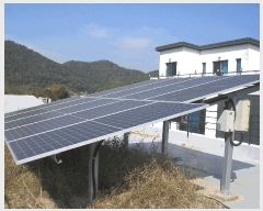  2025Ÿ��666 ���� ������ �Ҷ�� �׸��� 983-7      ���ð��