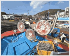  2025Ÿ��689 ������ ������         ���ڰ��