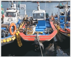  2025Ÿ��689 ������ ������         ���ڰ��