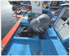  2025Ÿ��689 ������ ������         ���ڰ��