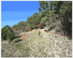  2025Ÿ��710  �����