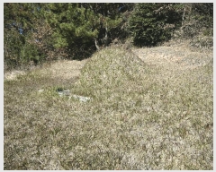  2025Ÿ��710  �����