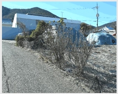  2025Ÿ��710  �����