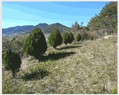  2025Ÿ��710  �����