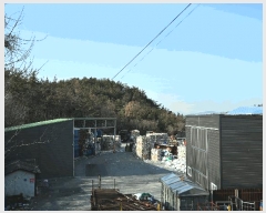  2025Ÿ��757 ���� ����� Ȳ�ݵ� ��200       ����(�Ӿ�)���