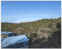  2025Ÿ��757 ���� ����� Ȳ�ݵ� ��200       ����(�Ӿ�)���