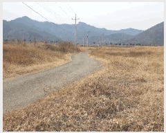  2025Ÿ��50039 ���� ���ﱺ ������ ����� ��77-2      ����(�Ӿ�)���