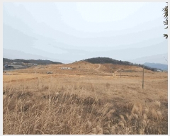  2025Ÿ��50039 ���� ���ﱺ ������ ����� ��77-2      ����(�Ӿ�)���