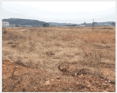  2025Ÿ��50039 ���� ���ﱺ ������ ����� ��77-2      ����(�Ӿ�)���