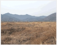  2025Ÿ��50039 ���� ���ﱺ ������ ����� ��77-2      ����(�Ӿ�)���