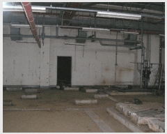  2025Ÿ51105    216 3 3ȣ     ,繫ǰ