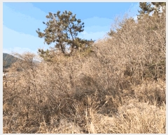  2025Ÿ51122   Ҷ 긮 766-3      (1)