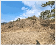  2025Ÿ51122   Ҷ 긮 766-3      (1)