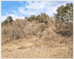  2025Ÿ51122   Ҷ 긮 766-3      (1)