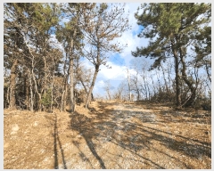  2025Ÿ51122   Ҷ 긮 766-3      (1)