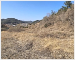  2025Ÿ51122   Ҷ 긮 766-3      (1)