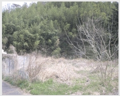  2025Ÿ51212  õ  437       ()