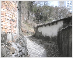  2025Ÿ51212  õ  437       ()