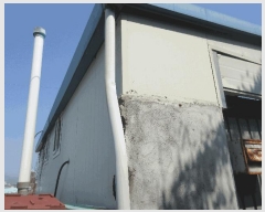  2025Ÿ��51219  ���ð��