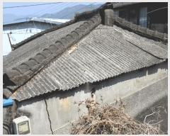  2025Ÿ��51219  ���ð��