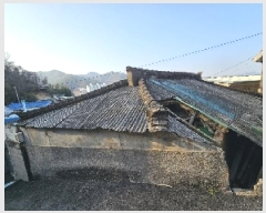  2025Ÿ��51219  ���ð��