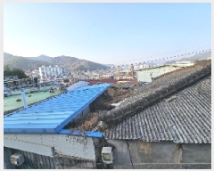  2025Ÿ��51219  ���ð��