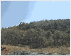  2025Ÿ51224  ﱺ  ȣ 157      (Ӿ)