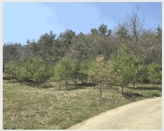  2025Ÿ51224  ﱺ  ȣ 157      (Ӿ)