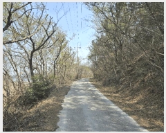  2025Ÿ51224  ﱺ  ȣ 157      (Ӿ)