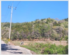  2025Ÿ51224  ﱺ  ȣ 157      (Ӿ)